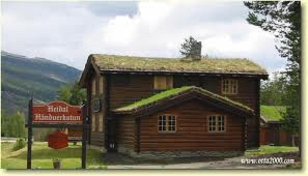 Lusaeter Timber Cabins Heidal Extérieur photo